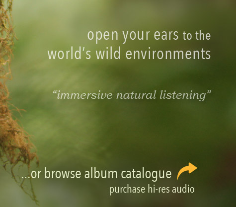 nature sounds soundscapes CD, digital download, mp3, flac